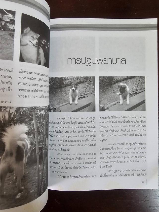 หนังสือ สุดยอดสุนัขสายพันธ์ไทย ไทยหลังอาน บางแก้ว มือสอง สภาพสมบูรณ์ 3