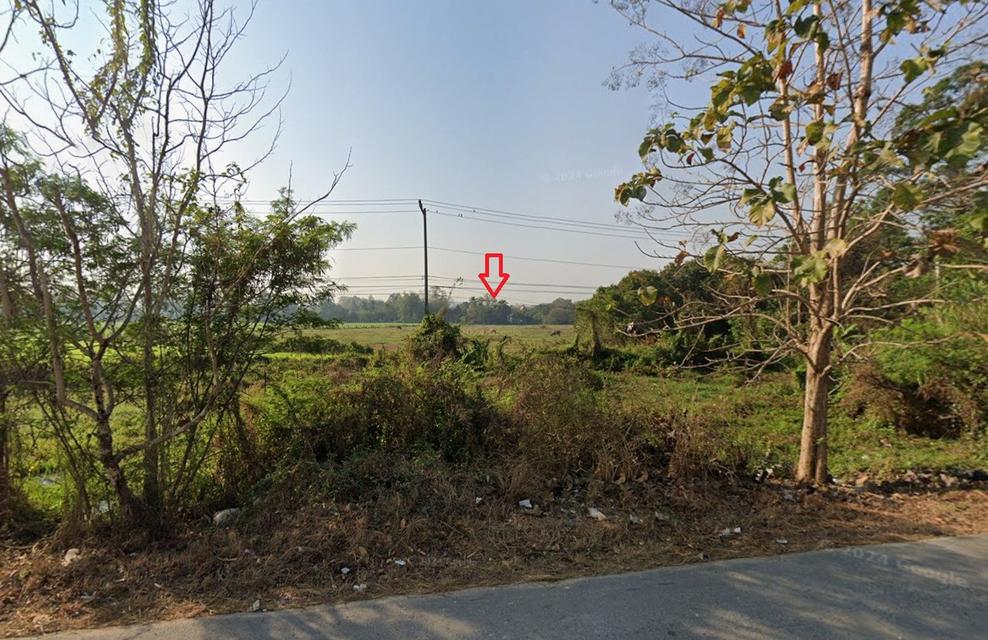 ที่ดิน 1