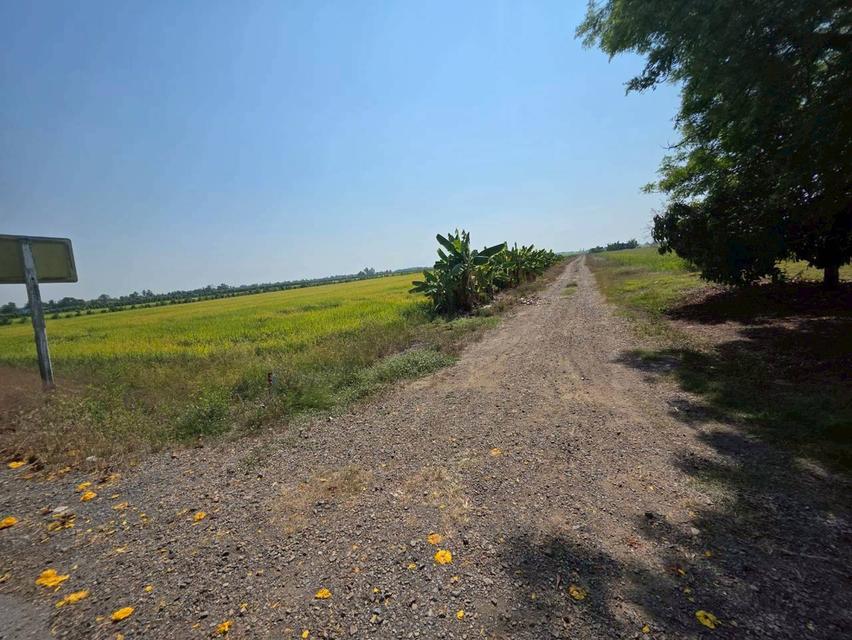 ขายที่ดิน 2แปลง องครักษ์ นครนายก คลอง22 ใกล้วัดราษฎร์ศรัทธาราม 3