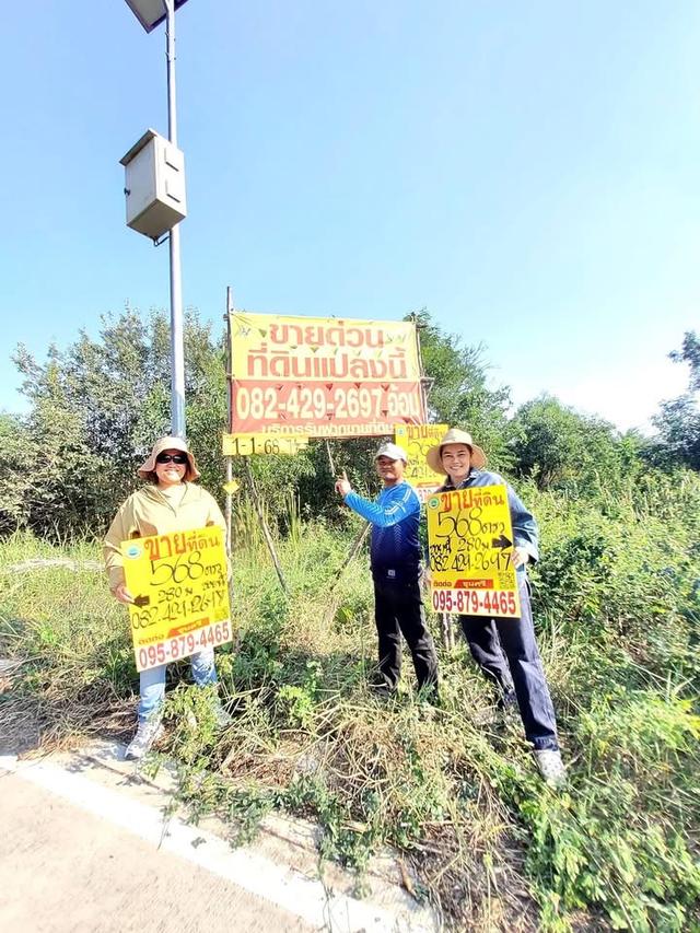 ขายด่วนที่ดินถนนฤชุพันธุ์ 568 ตารางวา ติดถนนคอนกรีตสาธารณะ ซอย ฤชุพันธุ์ 4 อ.ไทรน้อย จ.นนทบุรี 1