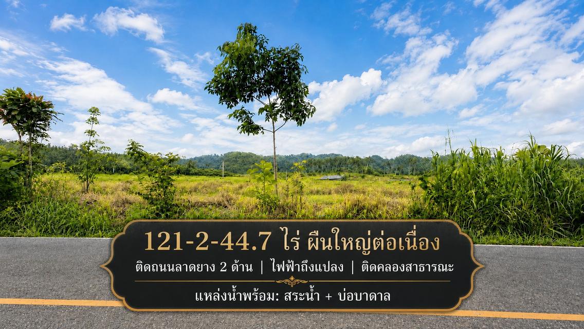 ขายที่ดิน 121 ไร่ ใกล้แยกนายายอาม จันทบุรีง ติดถนนลาดยาง 2 ด้าน ไฟฟ้าพร้อม มีสระน้ำ บ่อบาดาล และติดคลองสาธารณะ 2
