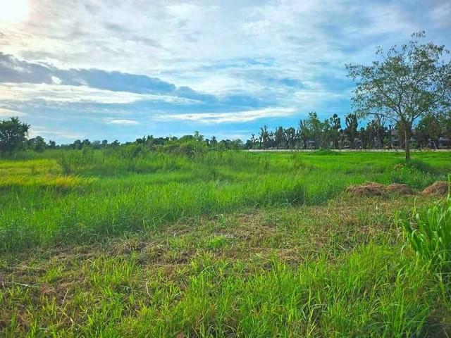 ขายที่ดินพานทองราคาถูก หนองหงษ์ พานทอง ชลบุรี บนเนื้อที่ 10 ไร่ ใกล้นิคมอมตะนคร 5