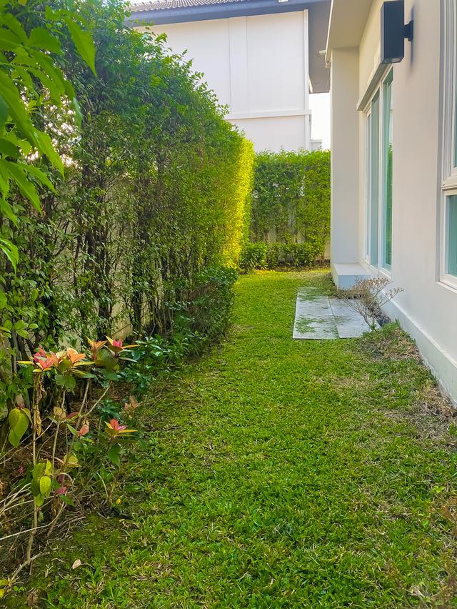 ขายบ้านเดี่ยว มัณฑนา มอเตอร์เวย์–กรุงเทพกรีฑาตัดใหม่ พร้อมเข้าอยู่ ทำเลดีใกล้ Airport Link ลาดกระบัง 14