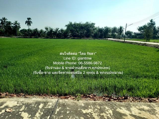 พื้นที่ดิน ขายที่ดินทุ่งนา อ.นครชัยศรี นครปฐม 5-0-0 ไร่ ราคา 15 ล้านบาท ใหญ่ขนาด 5 RAI 0 ngan 0 ตรว. 15000000 THB ใกล้ โ 7