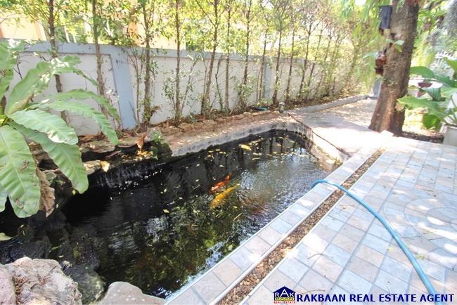 ขายด่วน!! บ้านฟ้าปิยรมย์ ลำลูกกาคลอง6 เนื้อที่ 52ตร.ว. 3นอน 2น้ำ 1ครัว บิวท์อินบางส่วน พร้อมอยู่ เพียง 3.55ล้านเท่านั้น 9