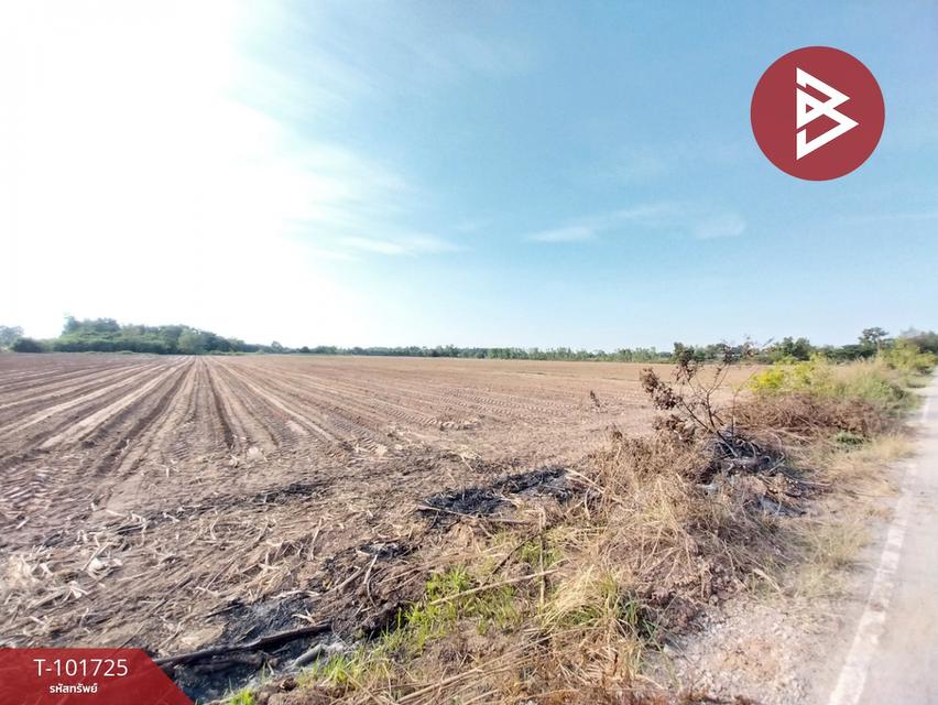 ขายที่ดิน เนื้อที่ 117ไร่ 1 งาน 64.0 ตารางวา อำเภอหนองเรือ ขอนแก่น 14