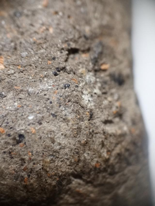 หลวงปู่ทวดเนื้อว่าน 2497 8