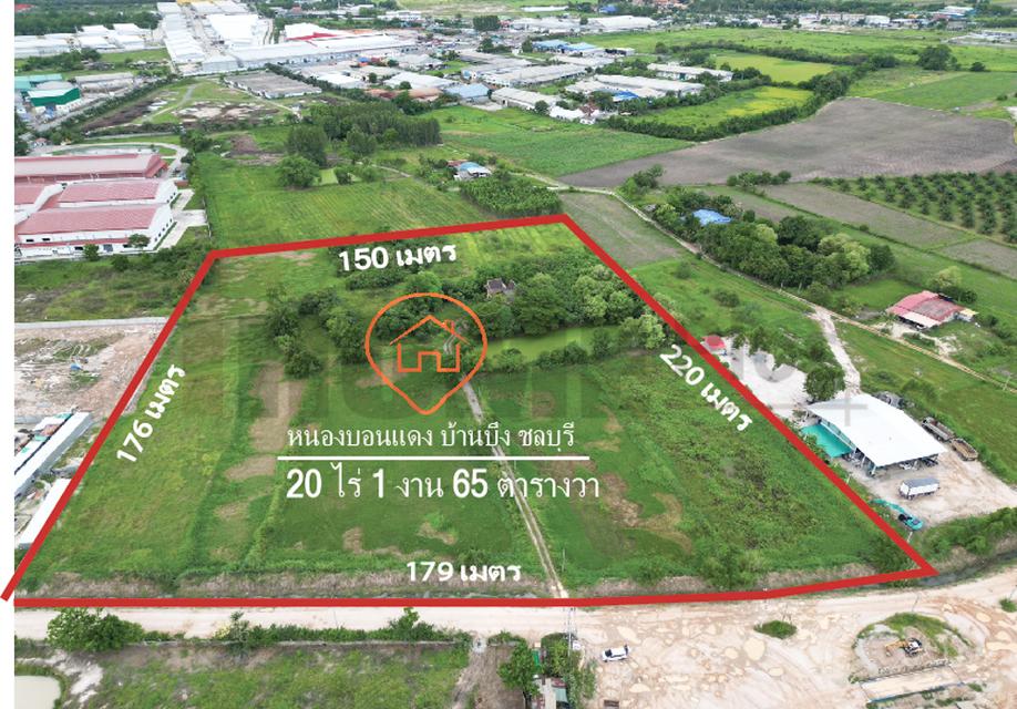 ขาย ที่ดิน บ้านบึง หนอง บอน แดง ชลบุรี(พร้อมสิ่งปลูกสร้าง) รูปที่ 2