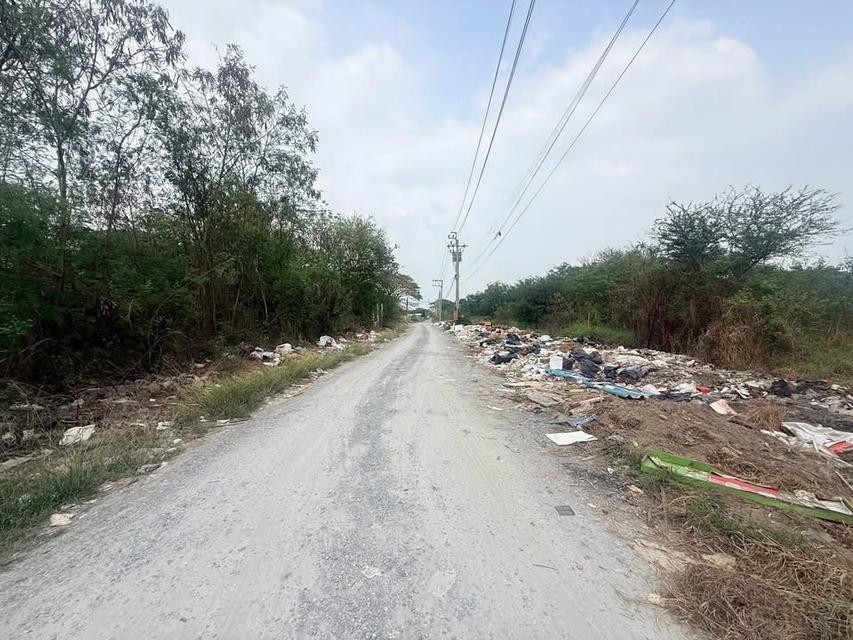 ขายด่วนที่ดิน 115 ตารางวา แปลงมุม ติดถนนสาธารณะ รร.บ้านคลองฝรั่ง อ.ไทรน้อย จ.นนทบุรี 4