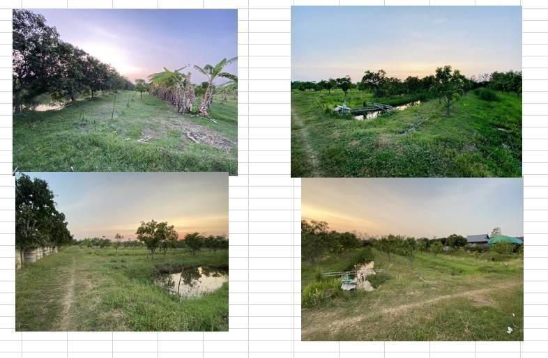 ที่ดิน บางพุทโธ ต.ตะลุง อ.เมือง จ.ลพบุรี 12ไร่2งาน มีสวน และบ้านพร้อมอยู่อาศัย 9