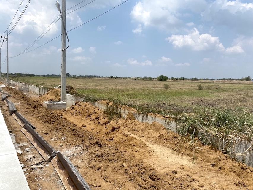 ขายที่ดิน 8 ไร่ ติดถนนเลียบคลองสี่ขวา โรจนะ สายเอเชีย  ใกล้มอเตอร์เวย์บางปะอิน  098 7755 808 6
