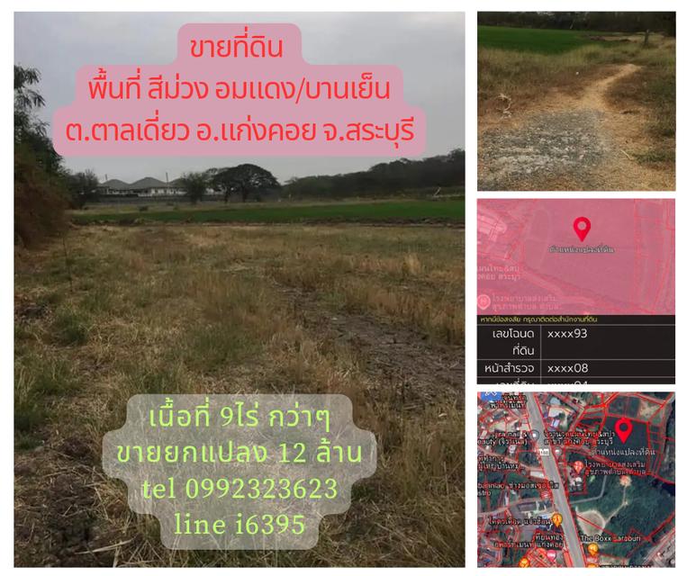ขายที่ดินสีม่วงอมแดง(บานเย็น)จ.สระบุรี