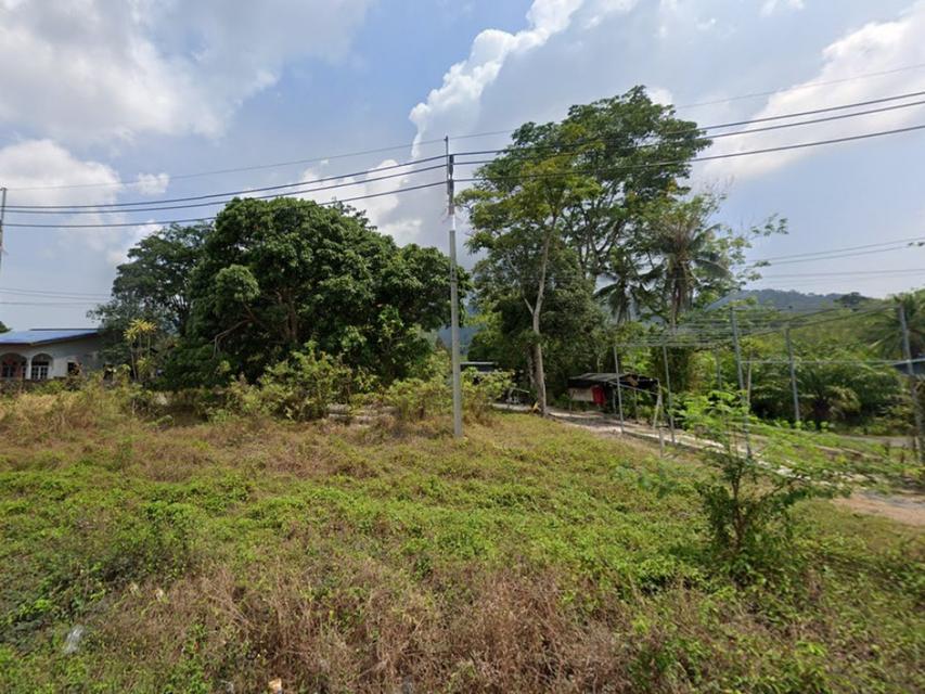 ขายที่ดิน ภูเก็ต ป่าคลอก 3.8 ไร่ ติดถนนใหญ่ 4 เลนส์ สายท่าเรือ-เมืองใหม่ ใกล้ทะเล สนามกอล์ฟ รพ.บำรุงราษฎร์ เหมาะทำโครงกา 1