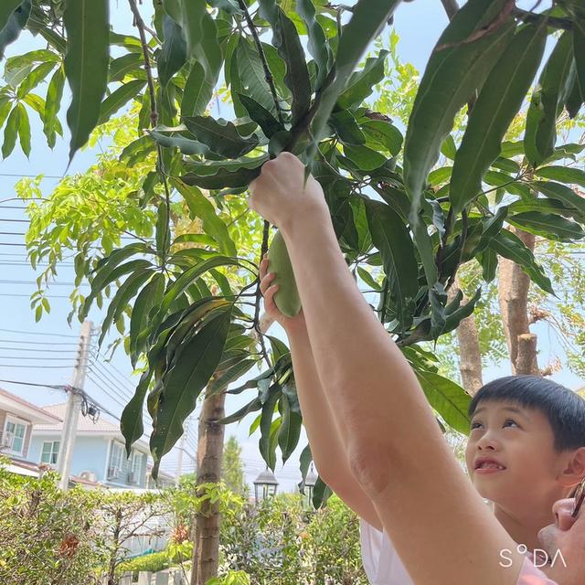 ขายบ้าน เจ้าของขายเอง 18