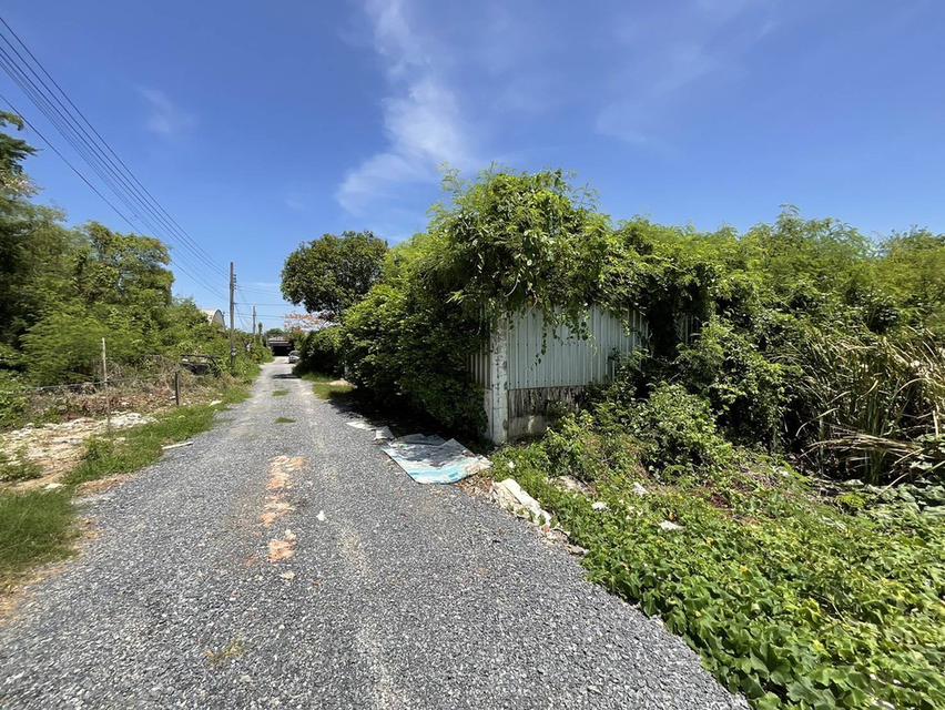 ขายที่ดิน ซ.ทุ่งมังกร 4  ฉิมพลี ตลิ่งชัน   4