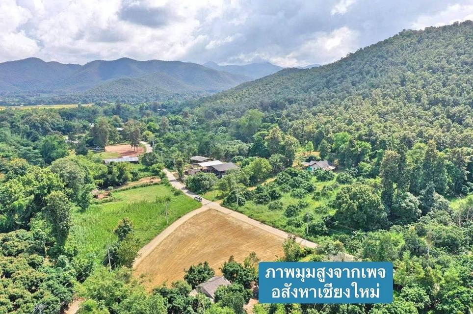 ขายที่ดินแปลงสวย 107 ตารางวา ทำเลดี ติดเนินเขา สันกำแพง เชียงใหม่ 5