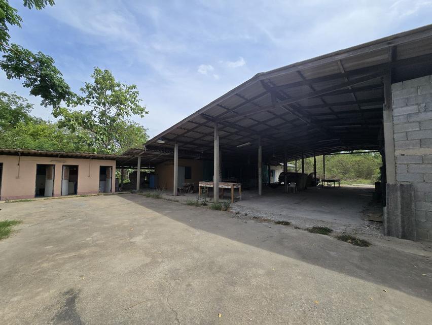  Land House and Warehouse Buildings for Sale —BangSai  9