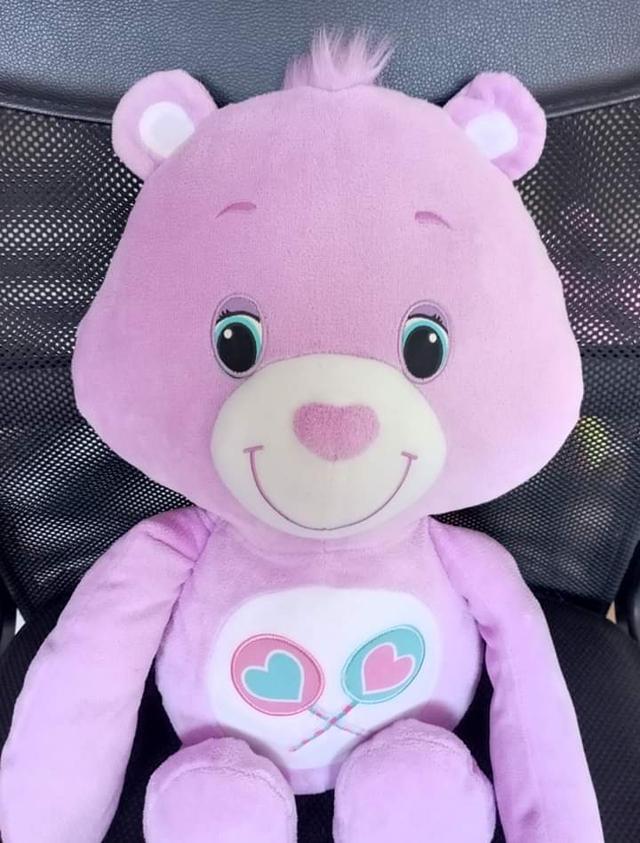 Hasbro Care Bears Share Bear Purple 2