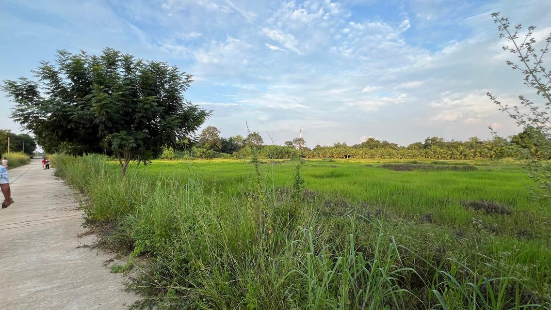 ที่ดิน จังหวัดสระแก้ว 12 ไร่ 1 งาน 79.6 ตร.ว. 3