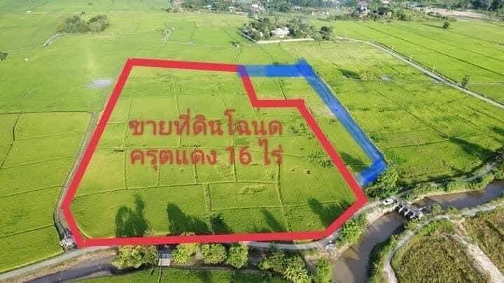 ที่นา16ไร่ขายยกแปลงมีโฉนด 1