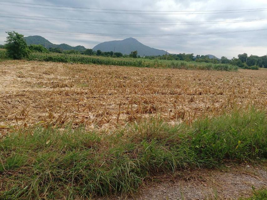 ที่ดิน ขนาด 133 ตรว. วิวเขา น้ำไฟถึง ถนนหน้าแปลง มี 3 ล็อค ครุฑแดง พร้อมโอน 10