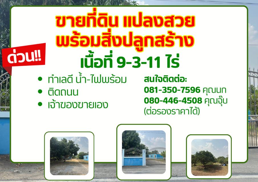 ขายที่ดิน 9 ไร่ 3 งาน 11 ตรว. แปลงสวย พร้อมสิ่งปลูกสร้าง 1