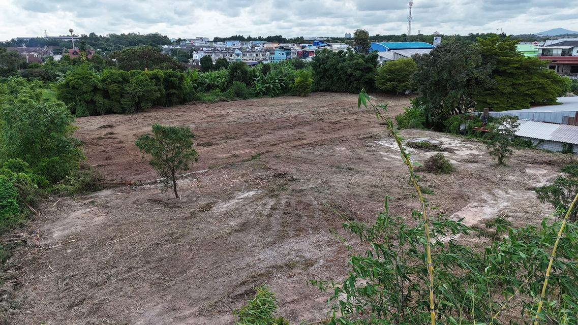 ที่ดิน ระยอง 3 ไร่ 395 ตารางวา 5