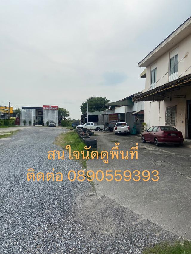 ขายที่ดินติดถนนใหญ่ ทำเลสวย  1