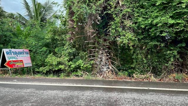 ขายที่ดินแปลงสวย 15 ไร่ 1 งาน 37.7 ตารางวา ติดถนนโยธาธิการ ตำบลหนองจอก อำเภอท่ายาง จังหวัดเพชรบุรี 4