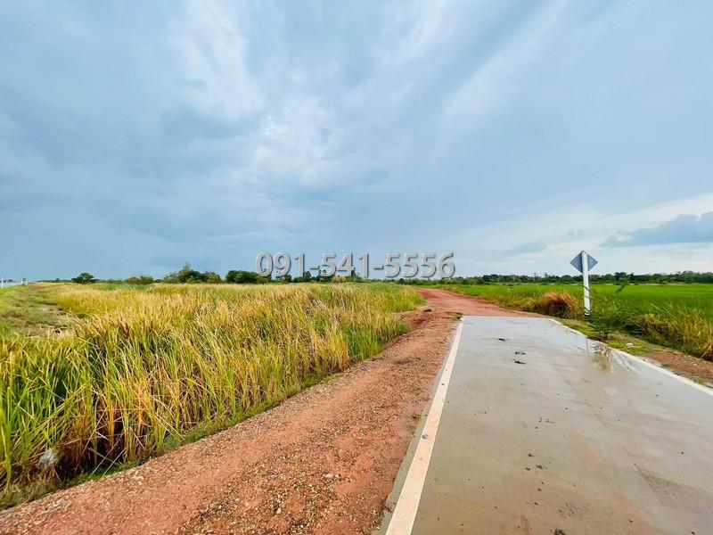 ขายที่ดิน รูปแปลงที่ดินถุงเงินถุงทอง เนื้อที่ 9-2-67.7 ไร่ ถนนวงแหวนรอบเมือง 290 เหนือตอน 2 กำปัง โนนไทย นครราชสีมา 8