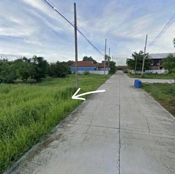 ขายที่ดินในชุมชน ถนนคอนกรีต 50 ตรว. ปราณบุรี ประจวบคีรีขันธ์ ใกล้ถนนพหล 2