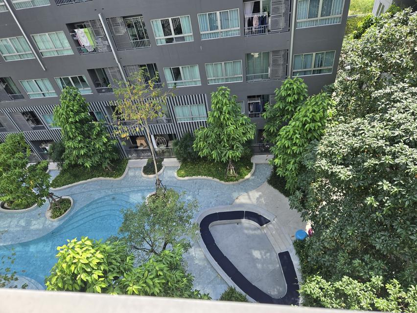 คอนโด Elio Del Moss พหลโยธิน 34 ใกล้รถไฟฟ้า 1