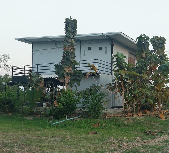 ที่ดินสองไร่พร้อมบ้านสวน 12