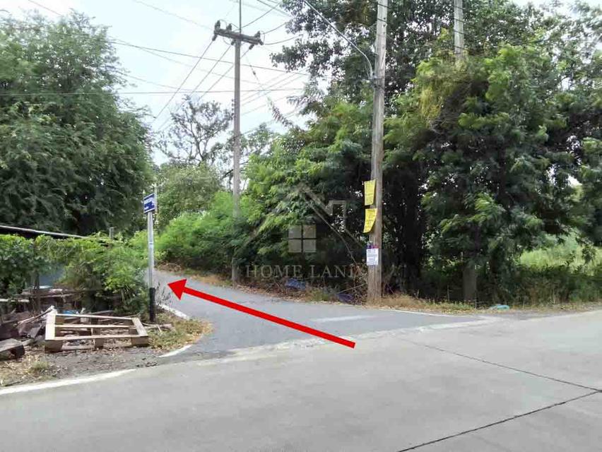 ที่ดินเปล่า 1 ไร่ ซอย เสวัลลพ คลองหก ปทุมธานี 4