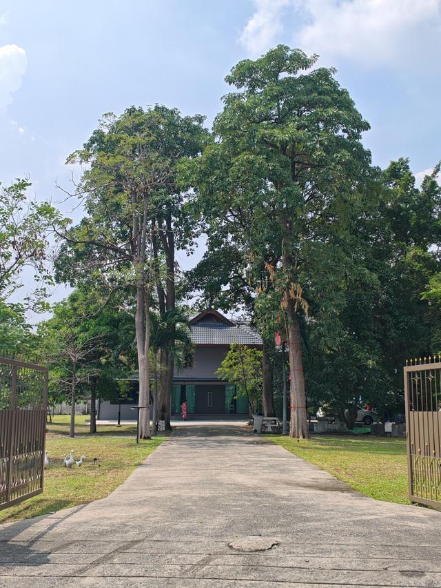 สุดคุ้มด่วน บ้านพร้อมที่ดินใหญ่ 595 ตรว. ถนนงามวงศ์วาน 23 แยก 15 ติดถนนใกล้ทางด่วน 3