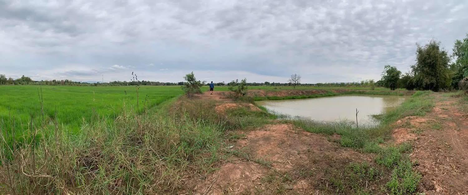 ขายที่ดิน จ.ชัยภูมิ