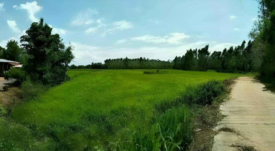 ขายที่ดิน 6 ไร่ อ.ศรีมหาโพธิ จ.ปราจีนบุรี ใกล้ถนนหมายเลข 3070 และ อบต.หัวหว้า 1