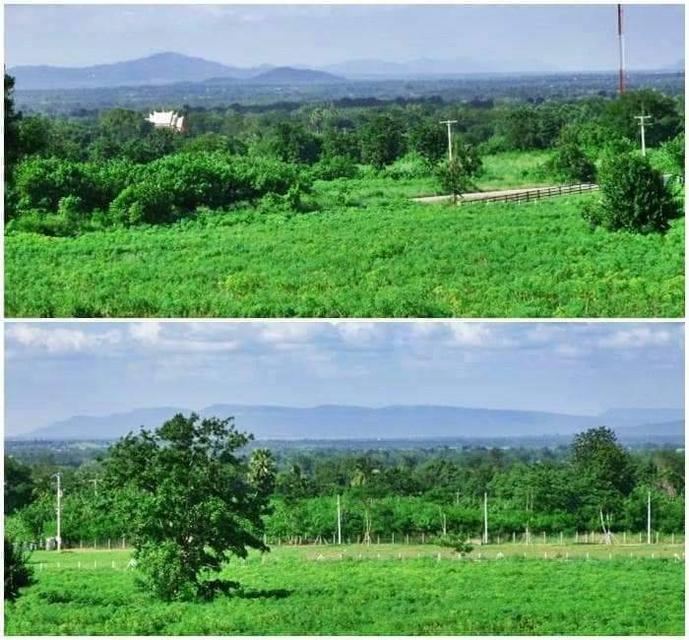 ขายที่เขาใหญ่ 15 ไร่ วิวสวย หนองสาหร่าย ปากช่อง-เขาใหญ่ ติดลาดยาง ใกล้เส้น 2235 เพียง 600ม. ทำเลดีมาก เหมาะสร้างบ้าน รีสอร์ท แบ่งแปลงขาย ขายถูกที่สุด