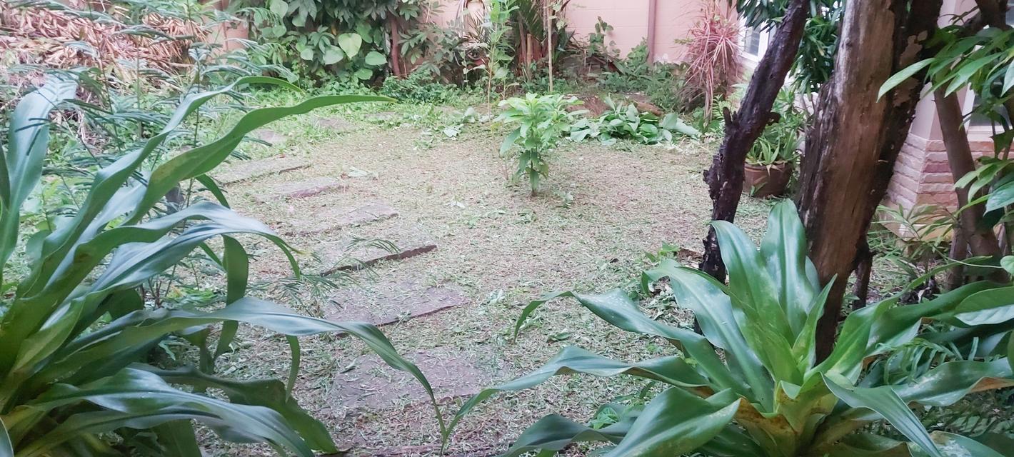 บ้านเดี่ยว 2 ชั้น 5 ห้องนอน 4 ห้องน้ำ ห้องครัว ห้องรับแขก  ระเบียงดาดฟ้า บ่อปลาคราฟ ปั้มน้ำ ถ้งเก็บน้ำ ซักล้าง สวน แอร์ 5 ตัว มุ้งลวดพร้อมม่าน 11