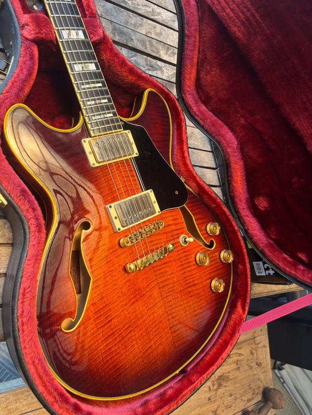 Guitar Ibanez John Schofield