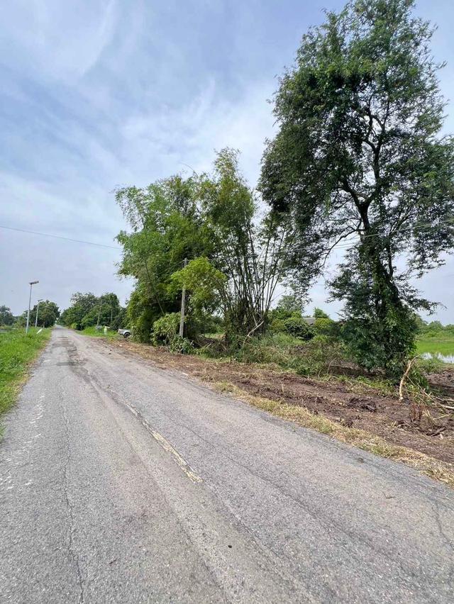 ขายที่ดินหนองแคผ่อนได้เนื้อที่ 200 ตรว. ทำเลดีคลอง13 ใกล้ตลาดสดหนองแค-5กม. จ.สระบุรี 2