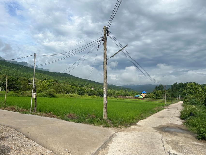 ที่นาวิวสวยไปแถวจอมทอง ติดถนน 2 ด้าน ขายเพียงไร่ละ 350,000 บาท ตารางวาละ 875 บาท 10