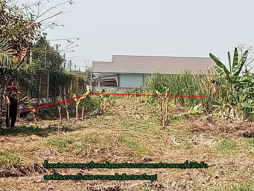 ที่ดินเปล่า/ไม่แบ่งขาย 2