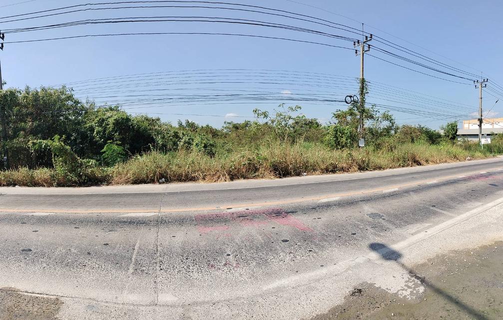 ขายที่ดิน ไทรน้อย นนทบุรี ติดถนนใหญ่ไทรน้อย-นนทบุรี 2 ไร่ 14 ตรว. 2