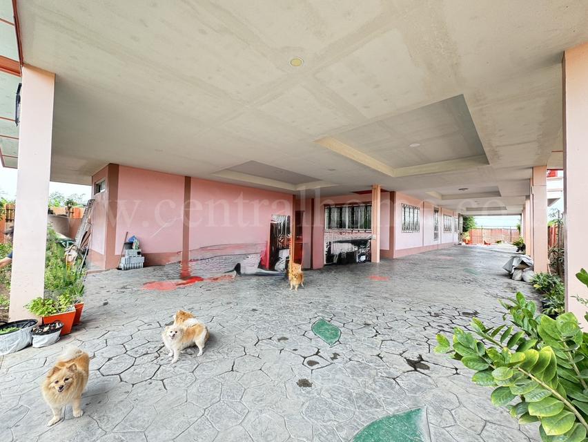 บ้านเดี่ยว 500 ตร.วา เรียบคลองบางโพธิ์เหนือ สามโคก ปทุมธานี เฟอร์ครบ พร้อมอยู่ 4