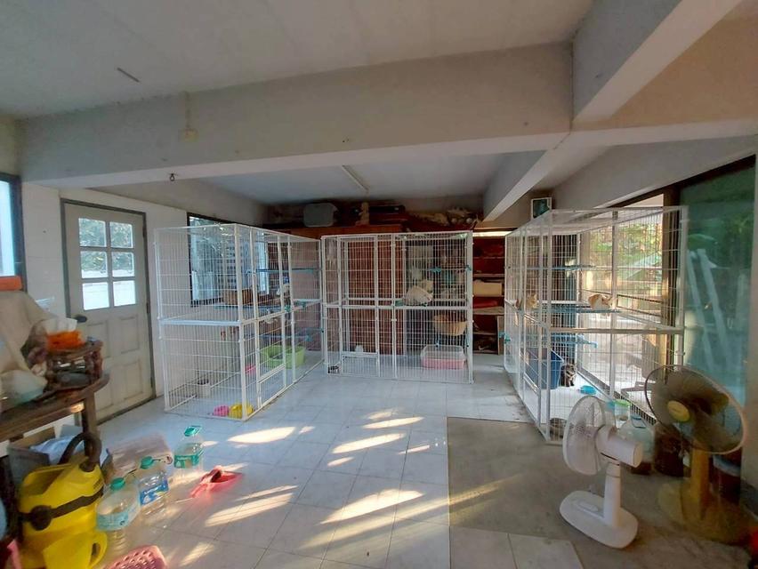 ขายที่ดินพร้อมบ้าน 2 ชั้น 2 หลัง ซอยงามวงศ์วาน 19 6