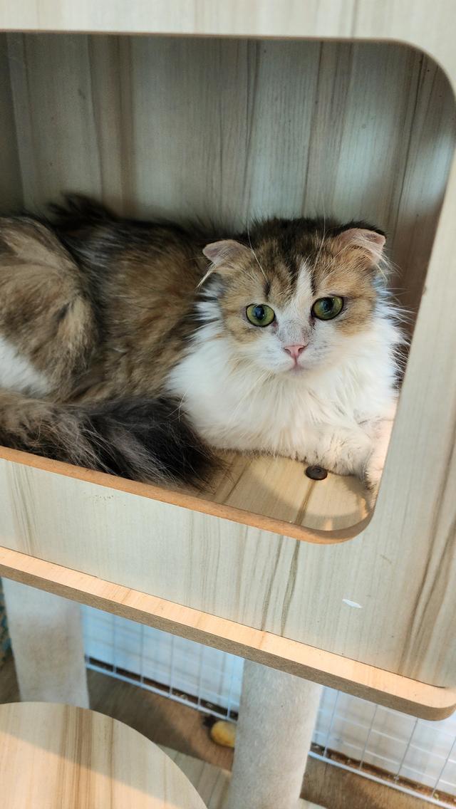 ปล่อยคุณแม่ หมันแล้ว อายุ 2 ปี 2