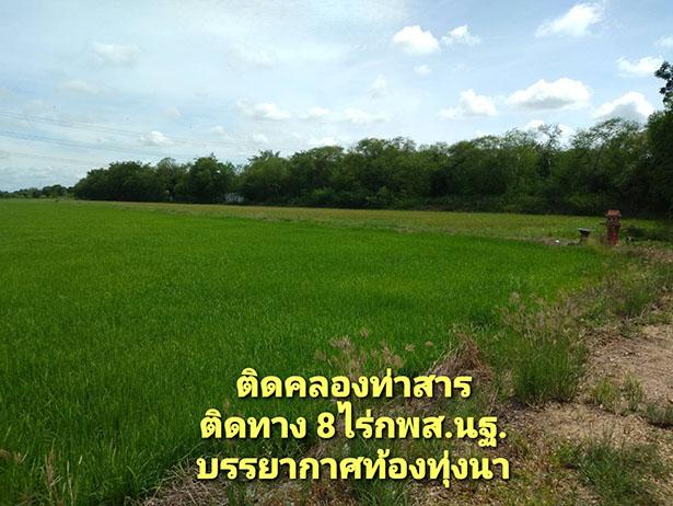 ที่ดินริมน้ำ ติดคลองท่าสารสายหลัก ได้ที่ฟรีอีกจำนวนหนึ่ง ที่สูงน้ำไม่ท่วม  8ไร่ 6