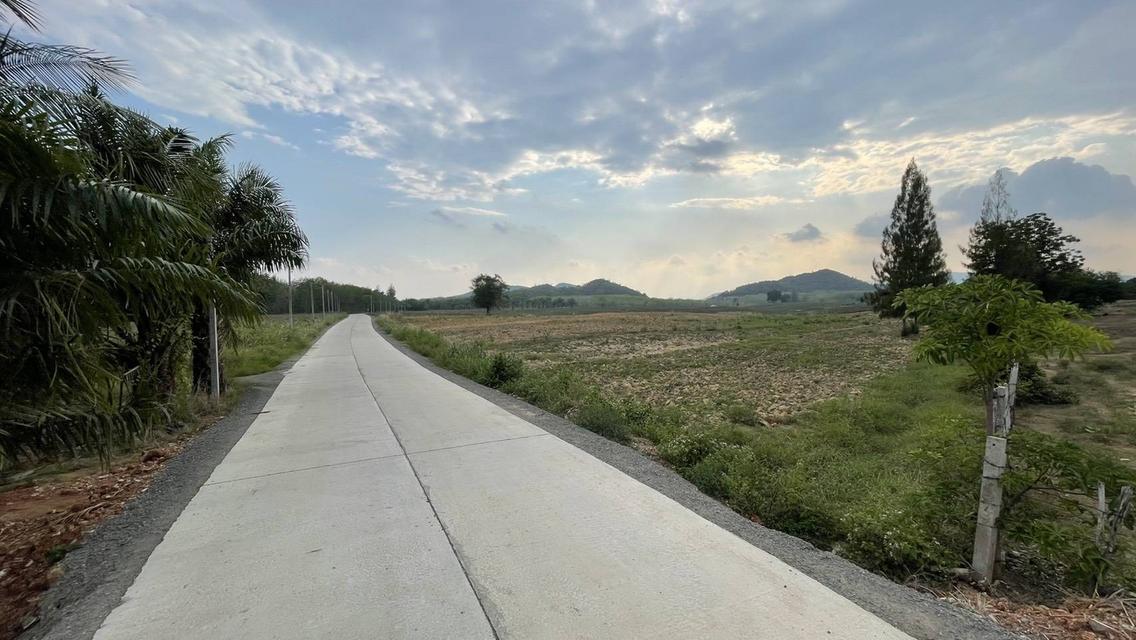 ขายที่ดิน ประจวบคีรีขันธ์ 3