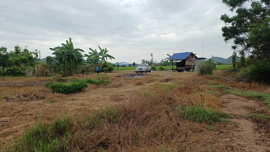 ที่ดินสวยเหมาะกับการทำบ้านสวนและการเกษตร 11